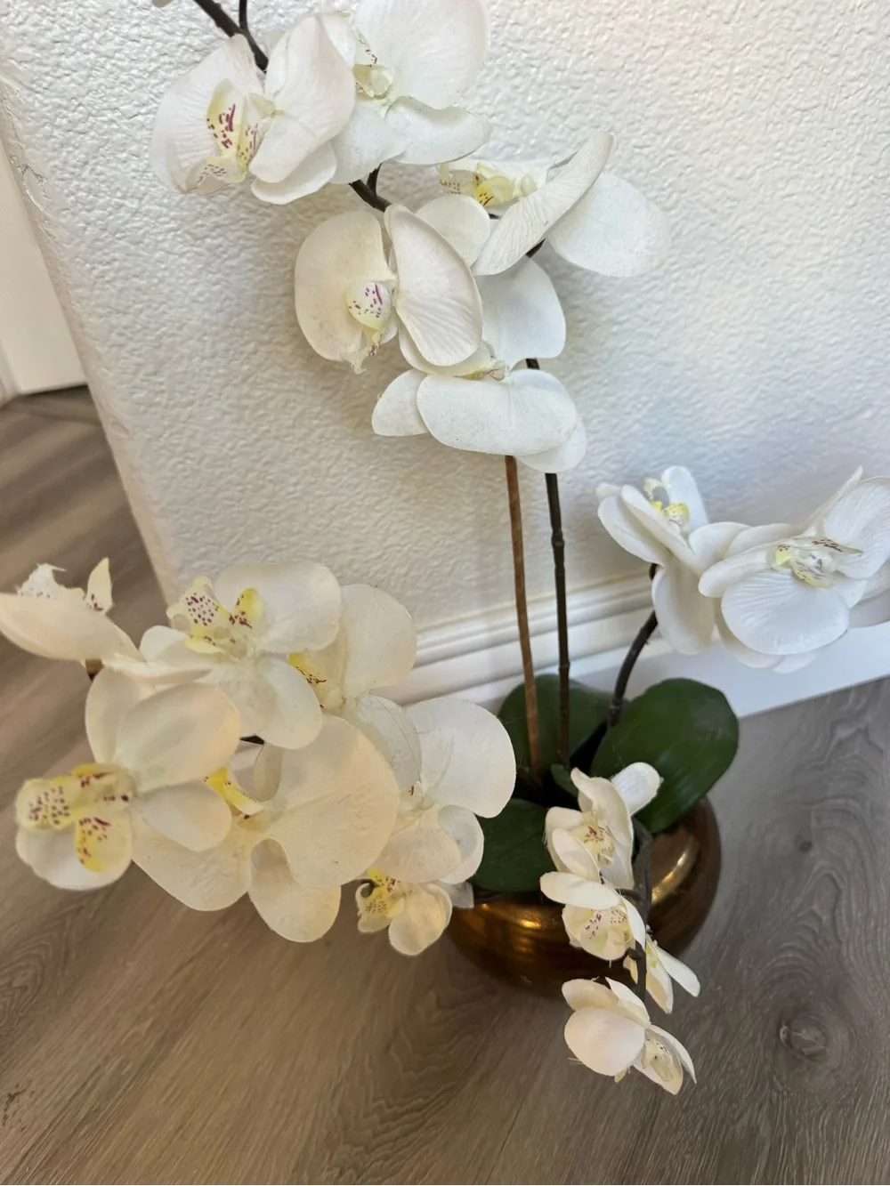 Pier 1 imports White Orchid Arrangement in Bronze Vase - Home Accents